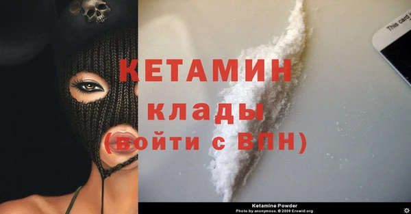 соль ск Ельня
