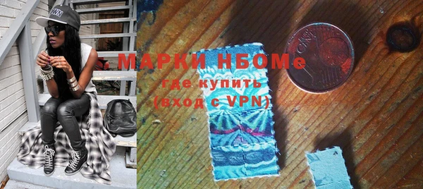 соль ск Ельня