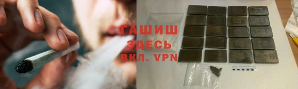 соль ск Ельня