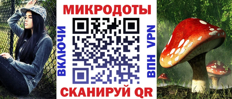 Псилоцибиновые грибы Cubensis  Сегежа 